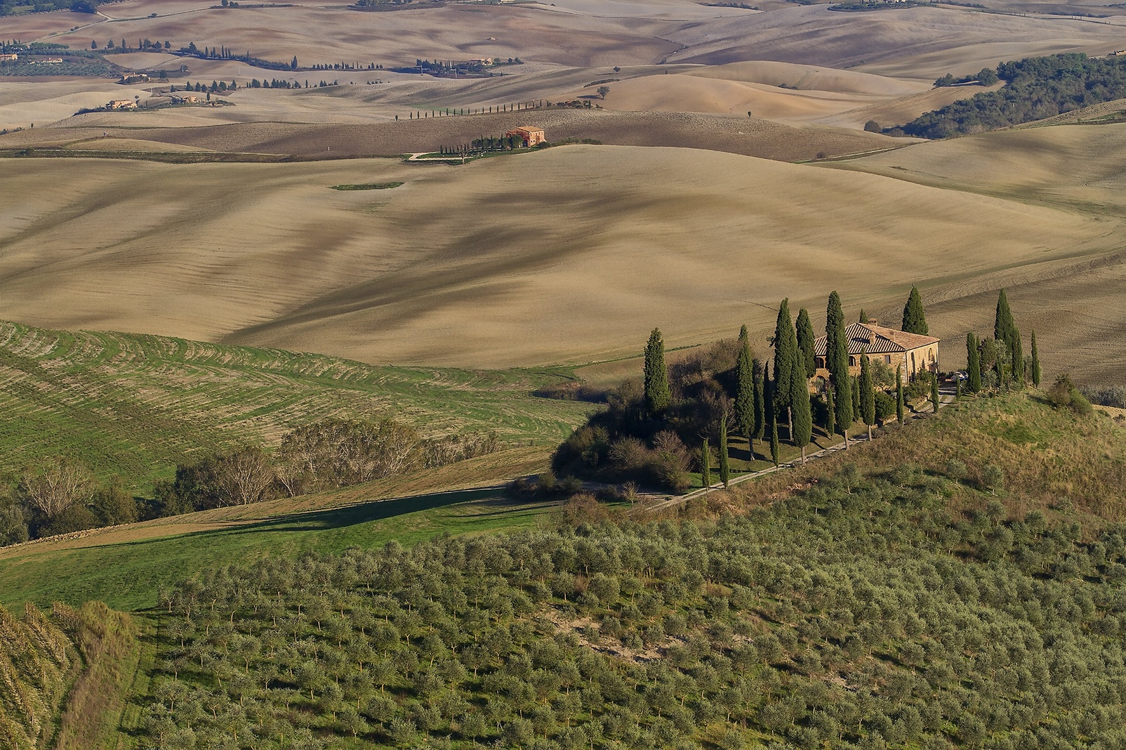 Belvedere by Mikki