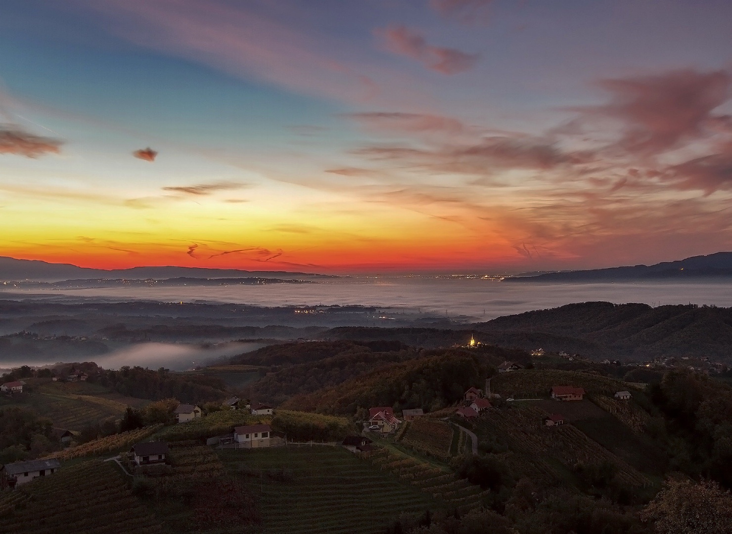 Polje by Mikki