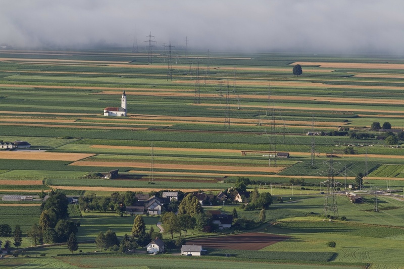 Polje by Mikki