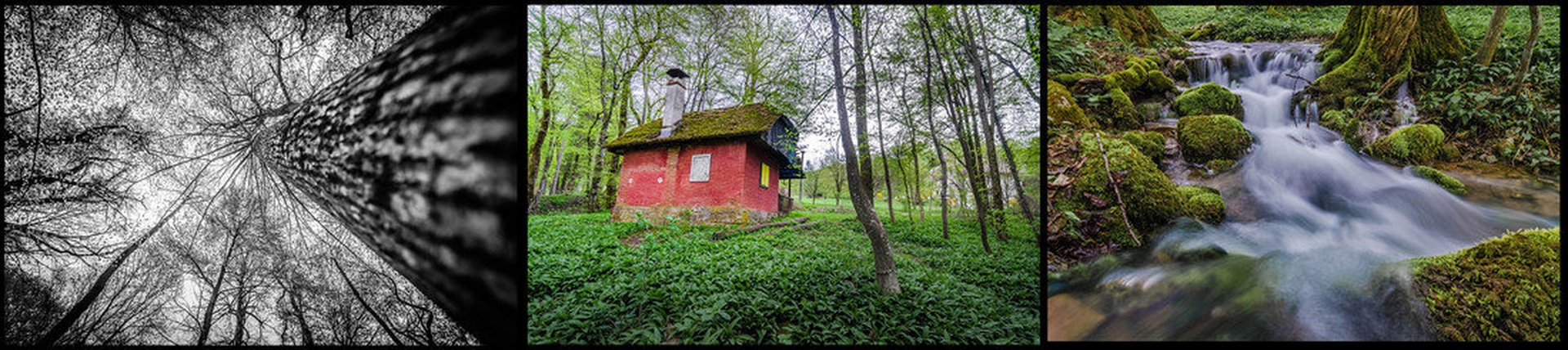 Planinsko polje by Luka Čuden