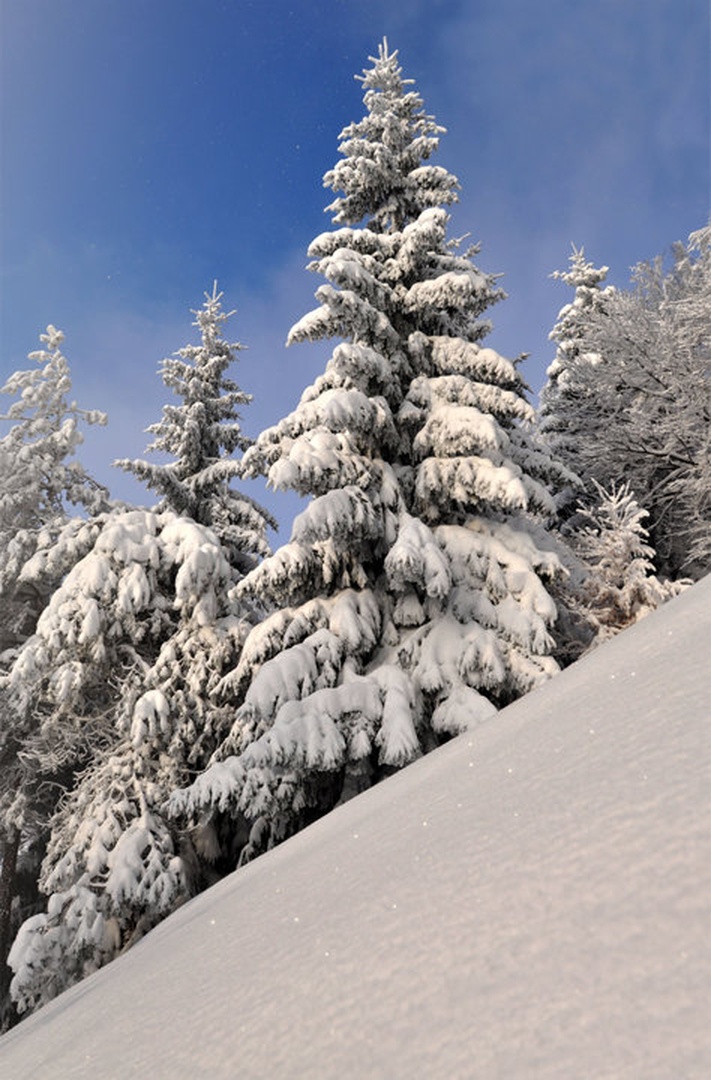 Brrrr... by Grega Gobovc