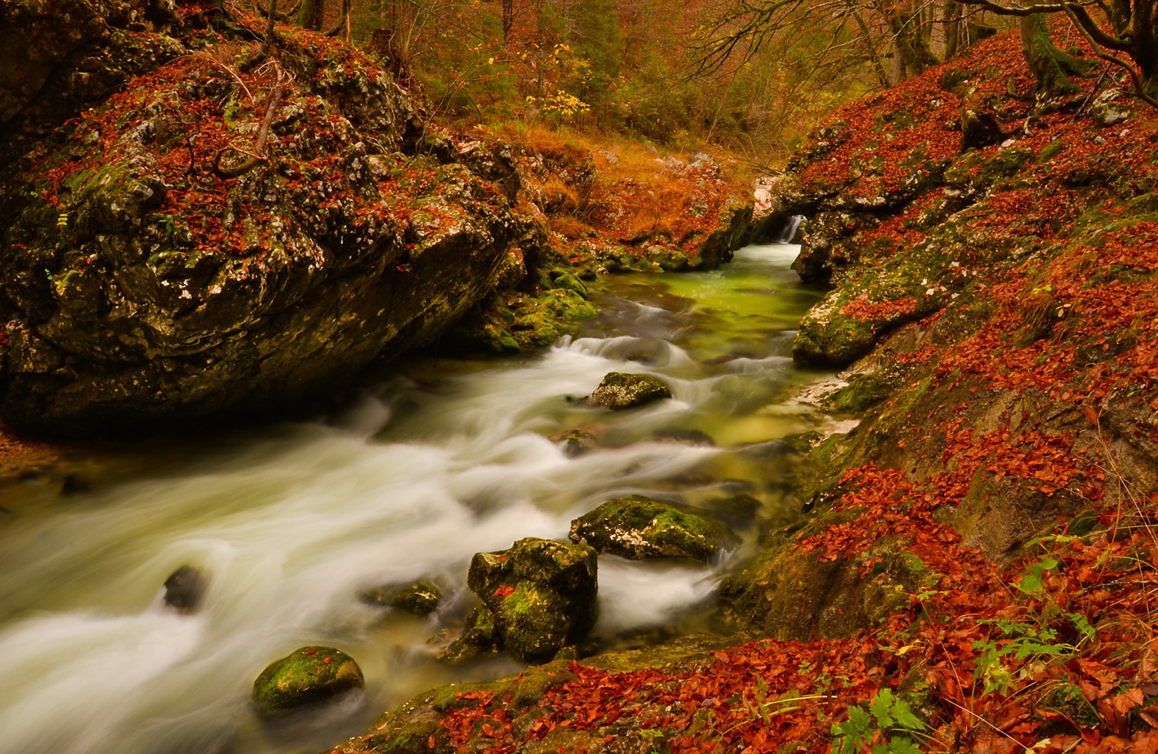 Jesenska ... by Grega Gobovc