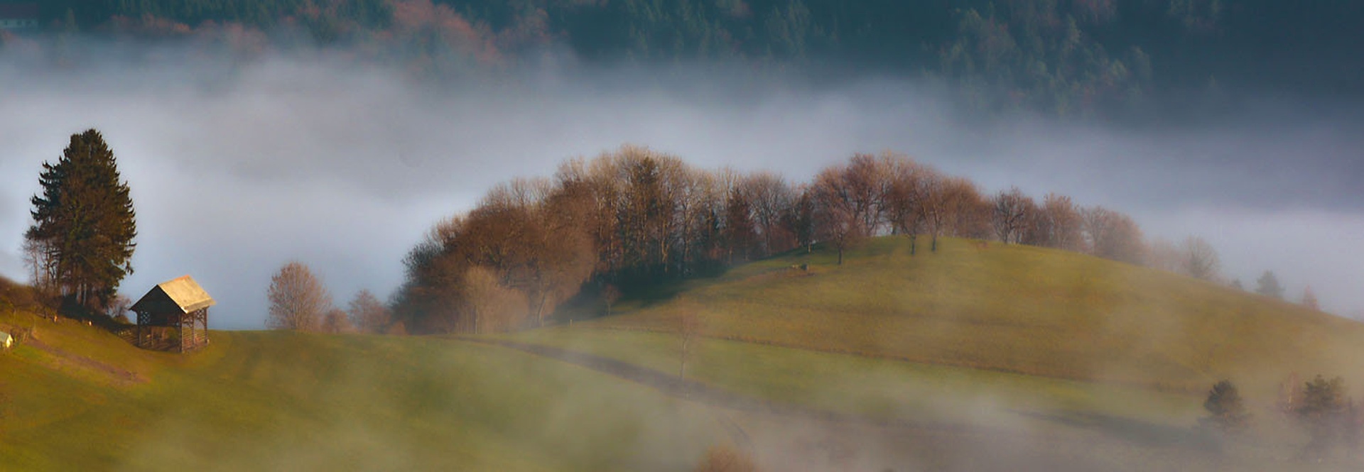 Pozna jesen by Grega Gobovc
