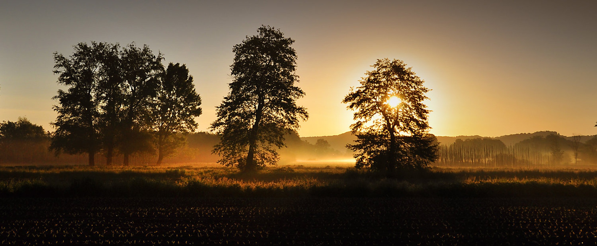 Rojstvo novega dne. by Grega Gobovc