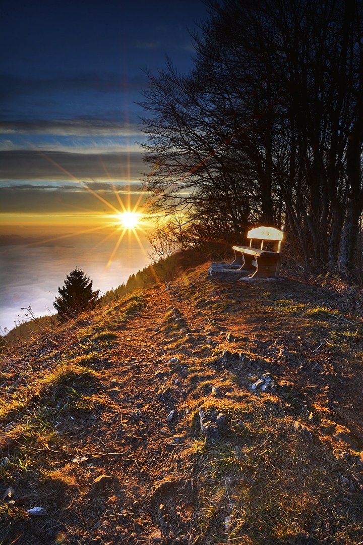 Proti soncu ... by Grega Gobovc