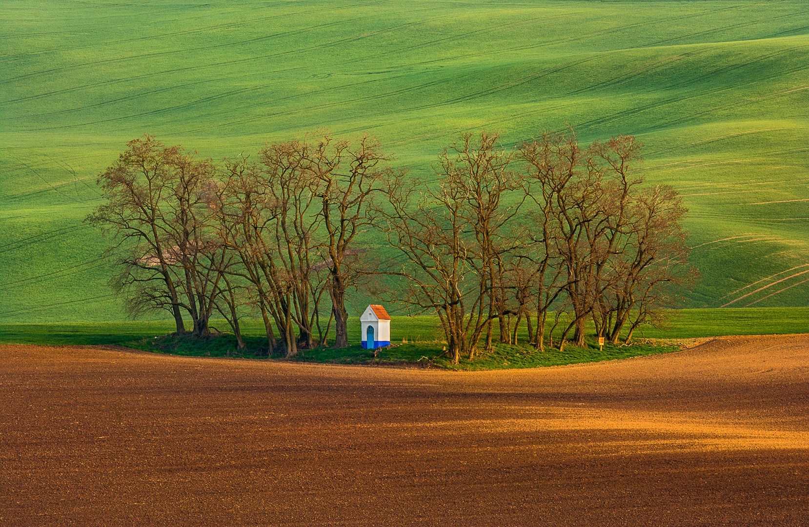 Prebujanje ... by Grega Gobovc