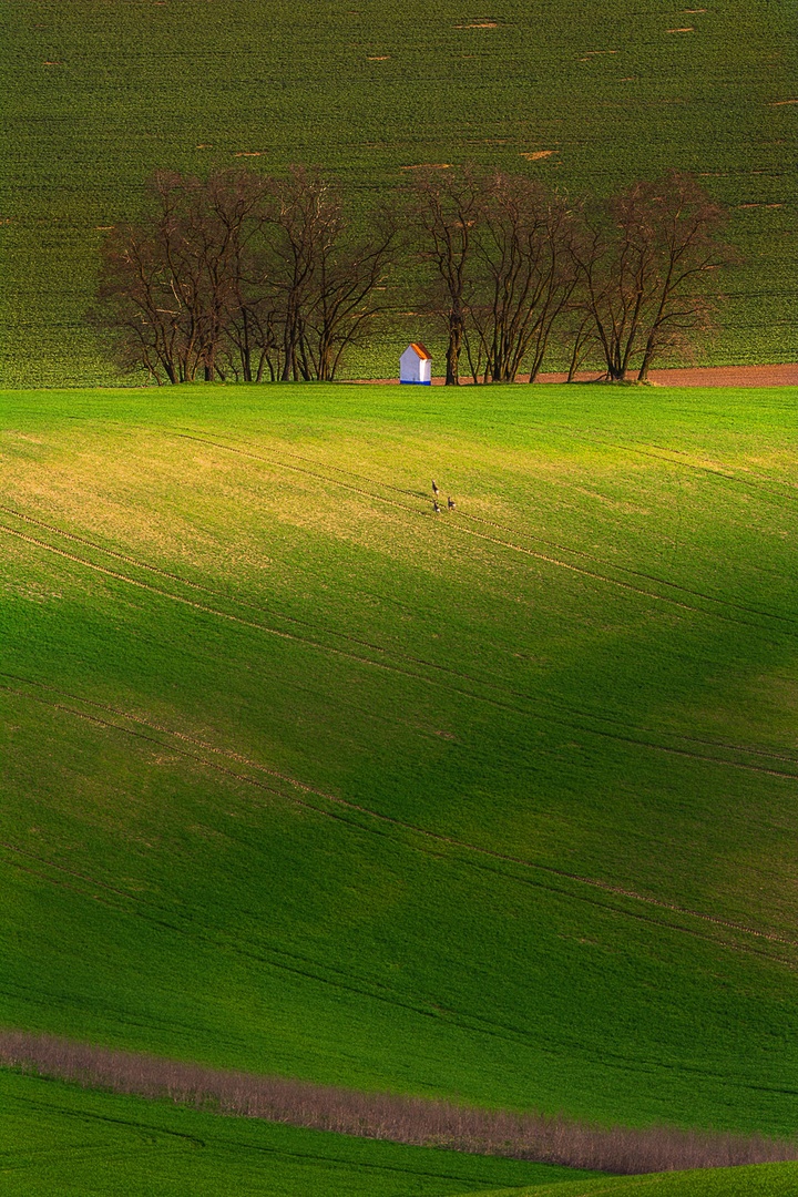 Proti vrhu ... by Grega Gobovc
