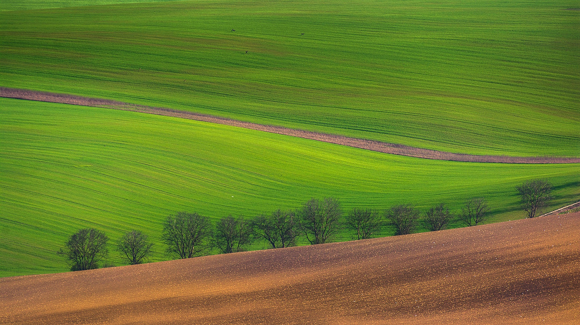 Med polji ... by Grega Gobovc