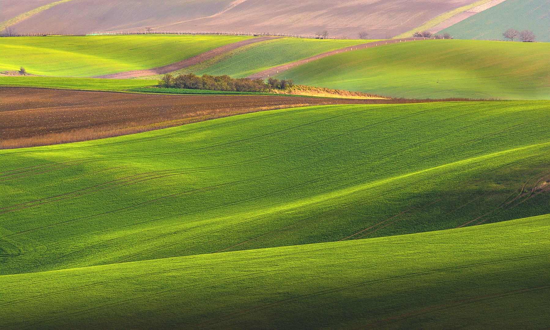 Zgodnja pomlad ... by Grega Gobovc
