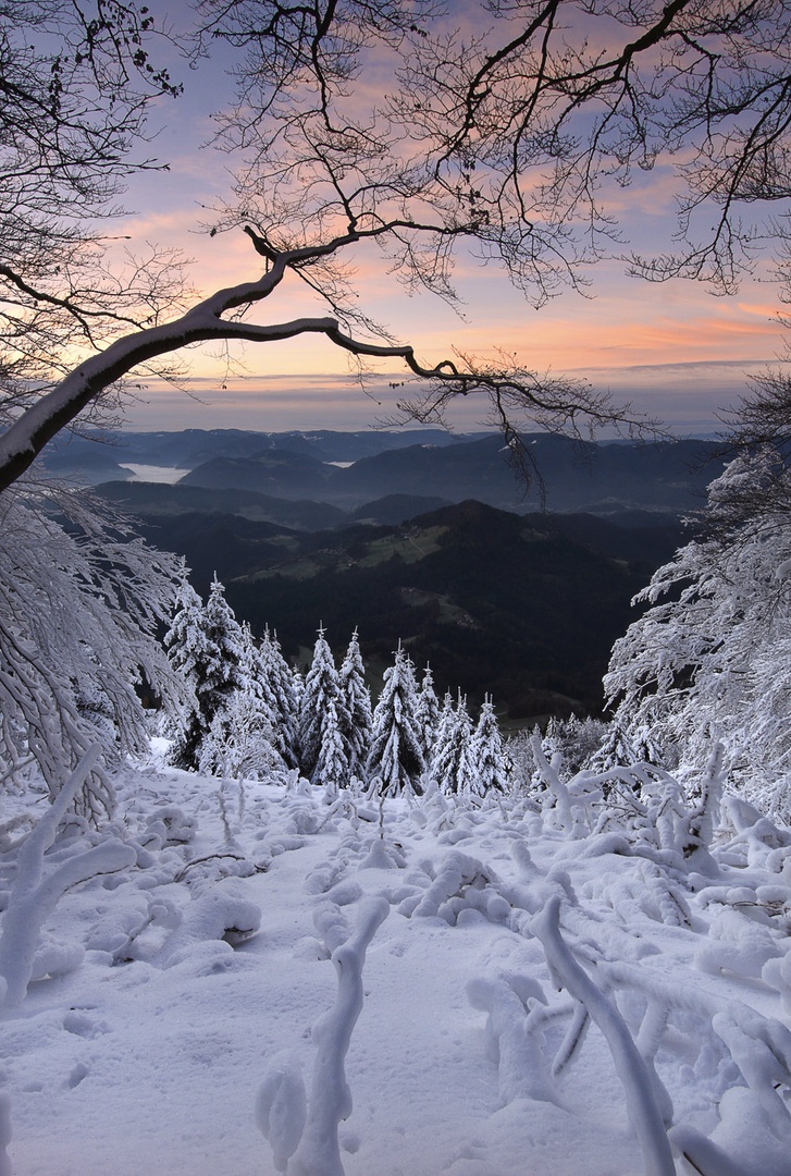 Skozi veje .... by Grega Gobovc