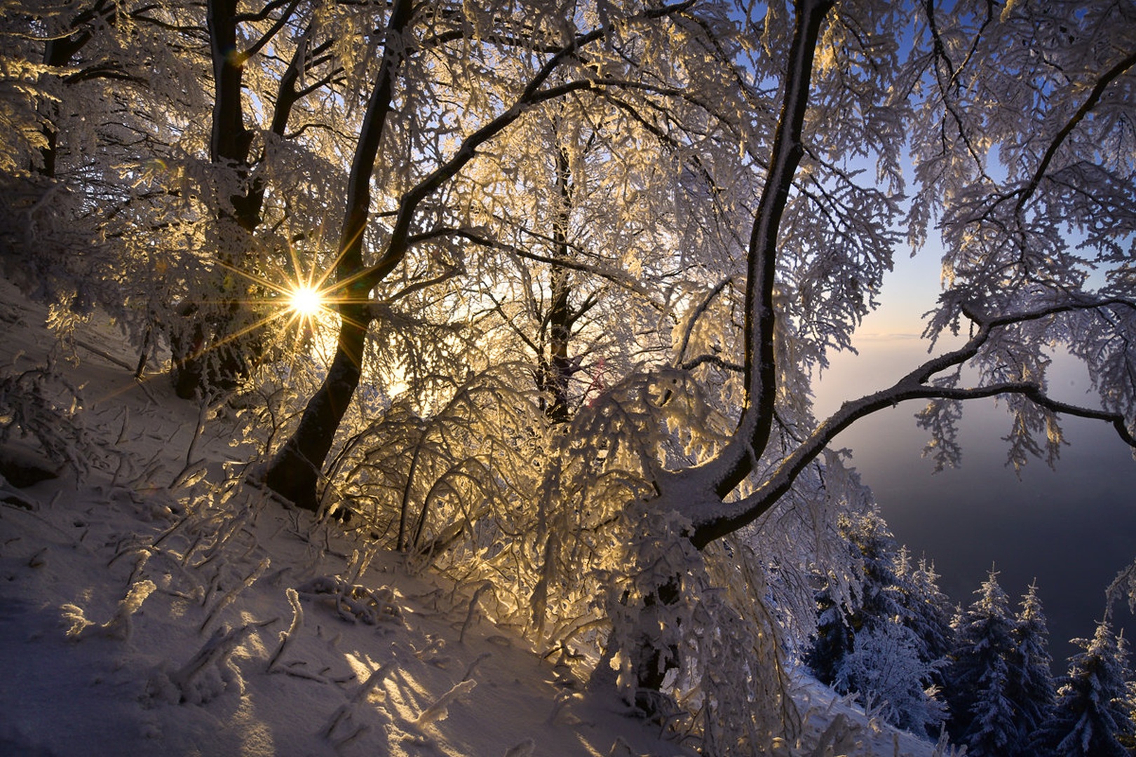 Skozi veje .... by Grega Gobovc