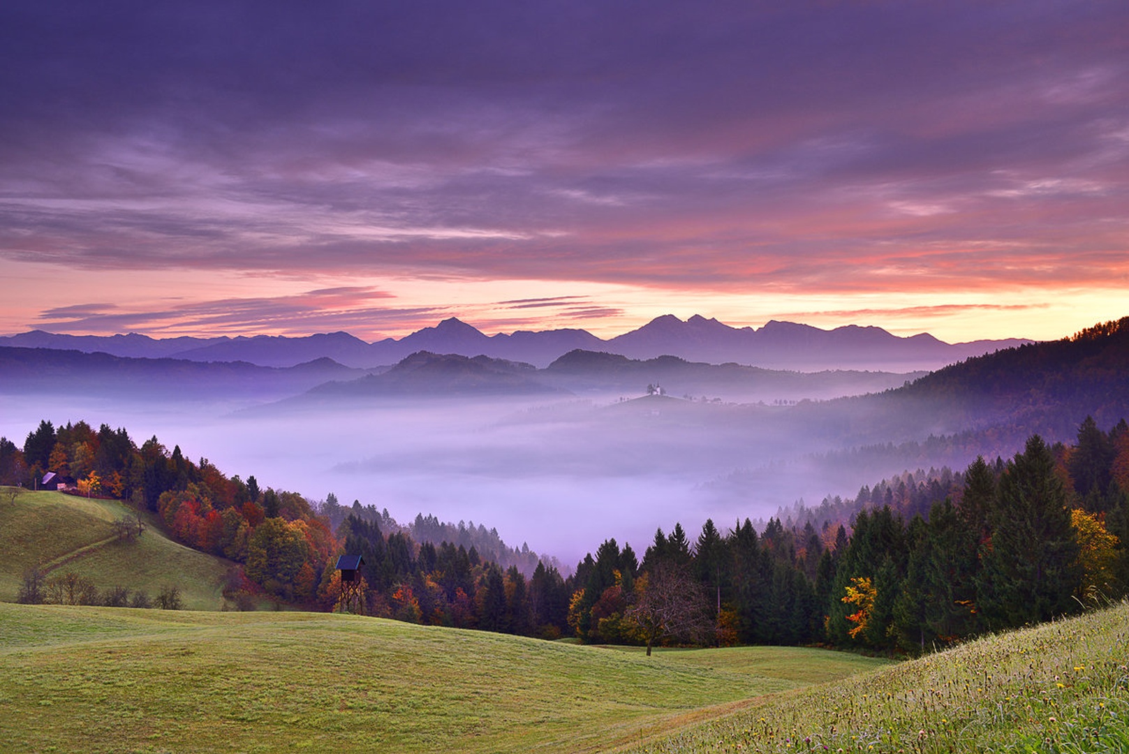 Še en Tomaž .... by Grega Gobovc