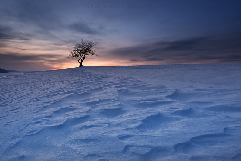 Ko zazebe ... by Grega Gobovc