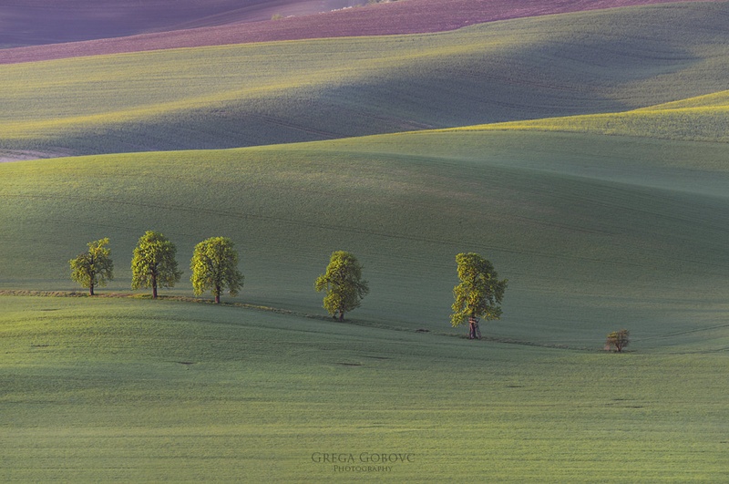 Prvi žarki ... by Grega Gobovc