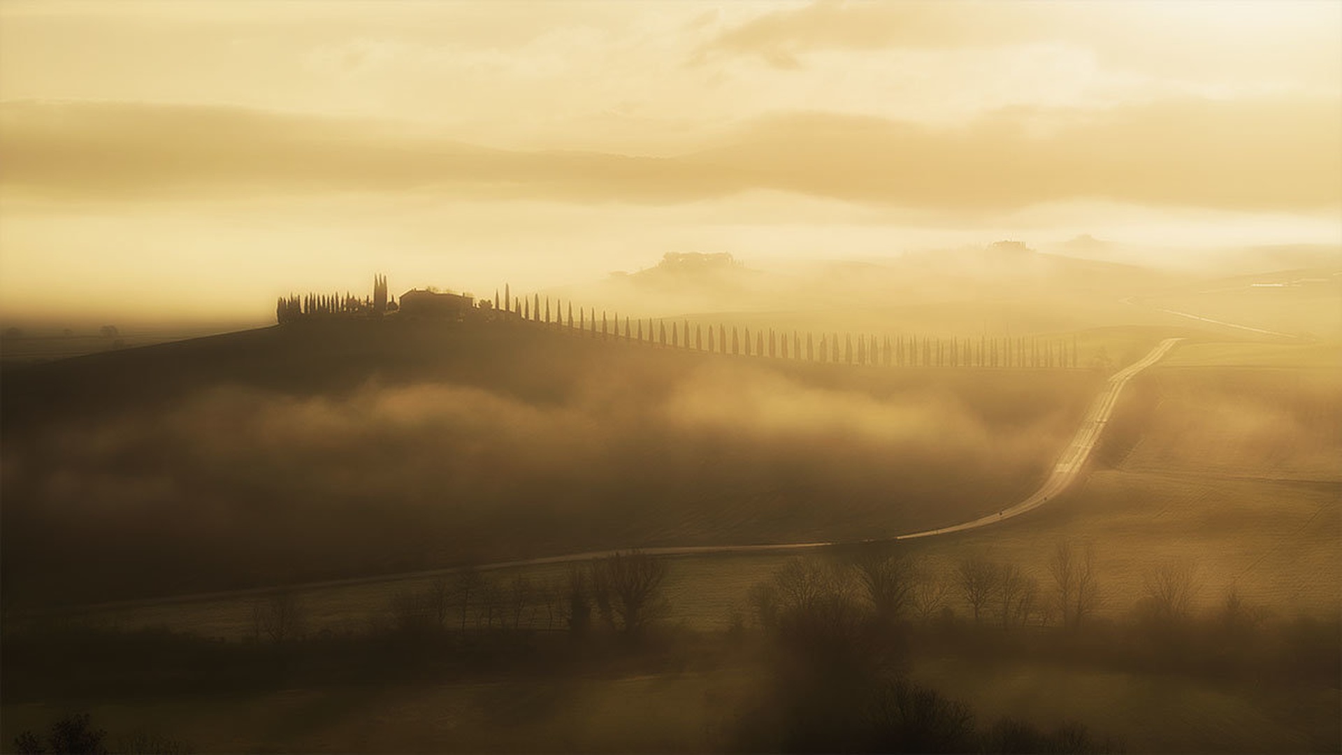Zlato jutro ... by Grega Gobovc