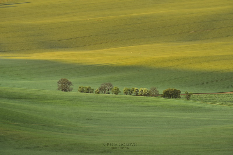 Moravske linije ... by Grega Gobovc