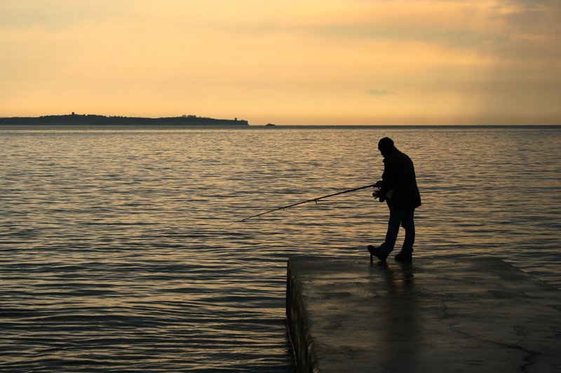 Oh where, oh where the fish did go ? by Zlotnik