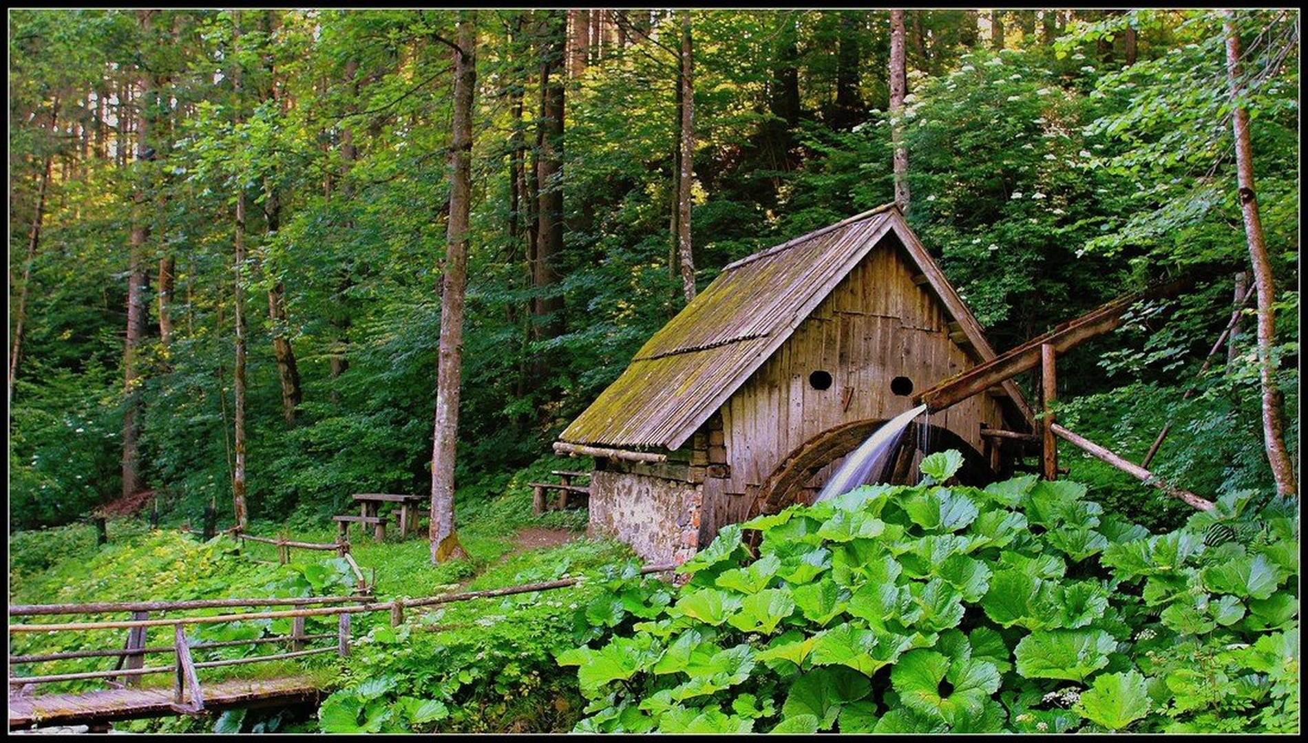 Žagerski mlin.....Podvolovjek by Jani Matko