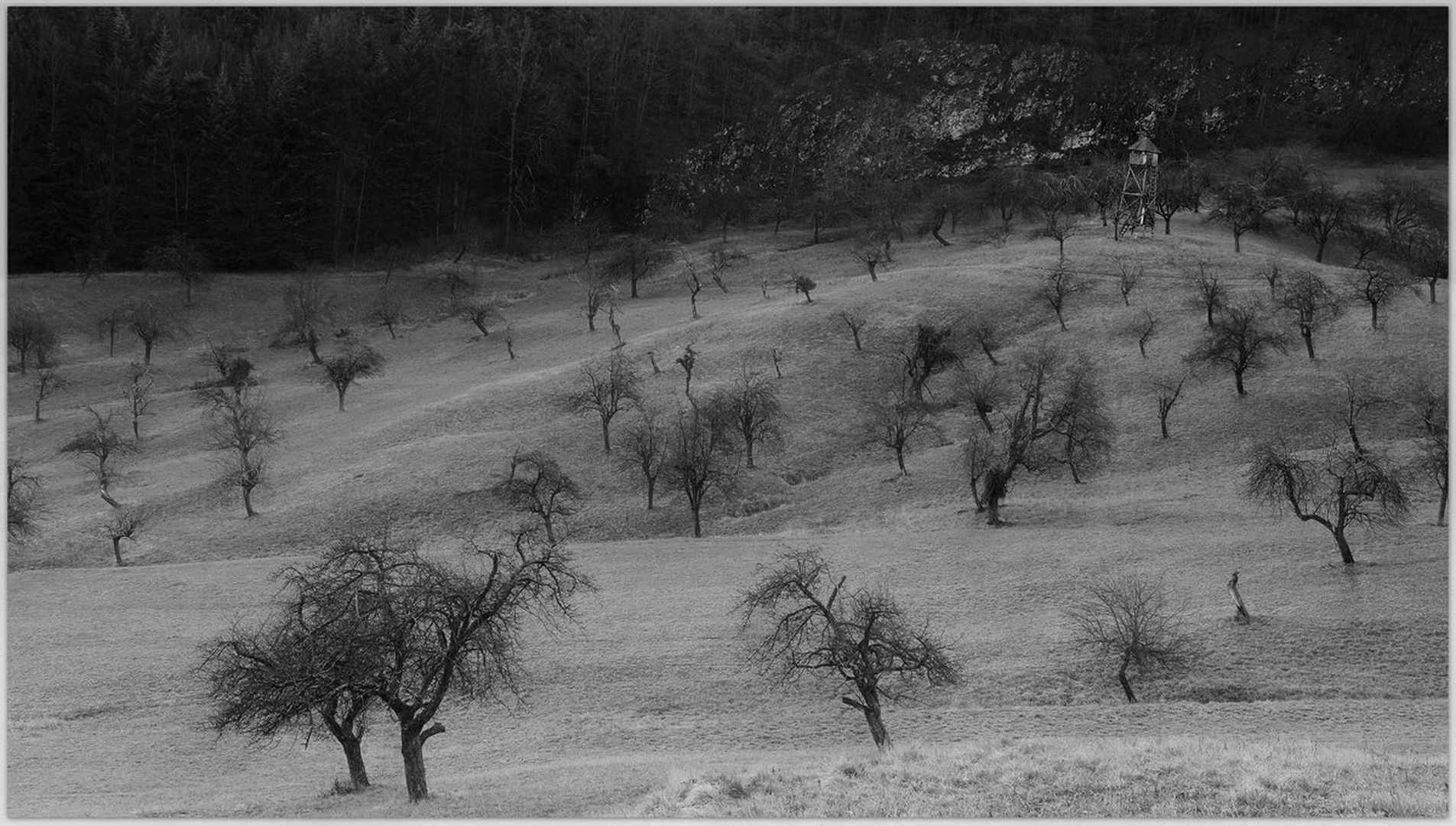 Lovska preža... by Jani Matko