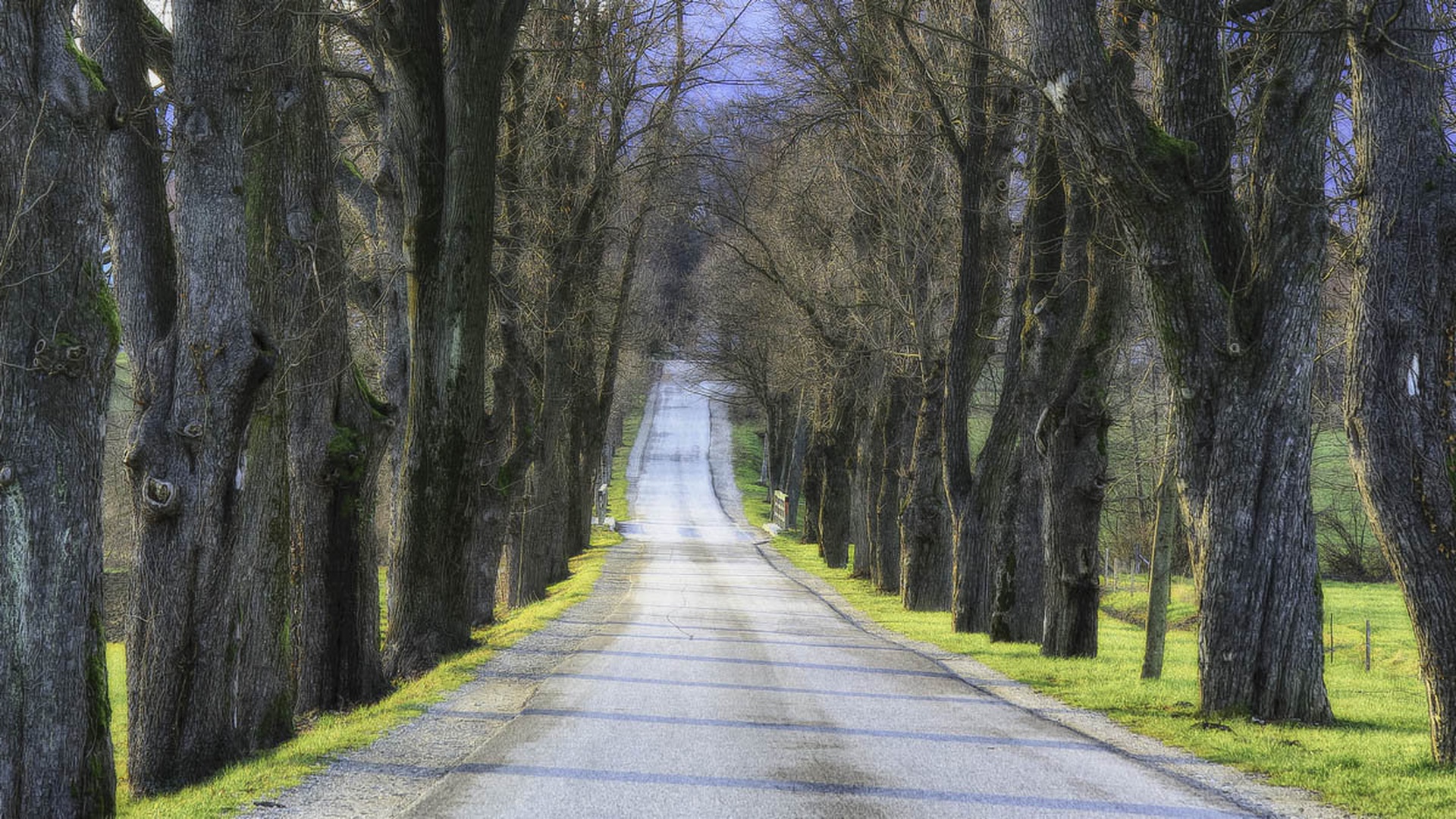 Proti klancu..... by Jani Matko