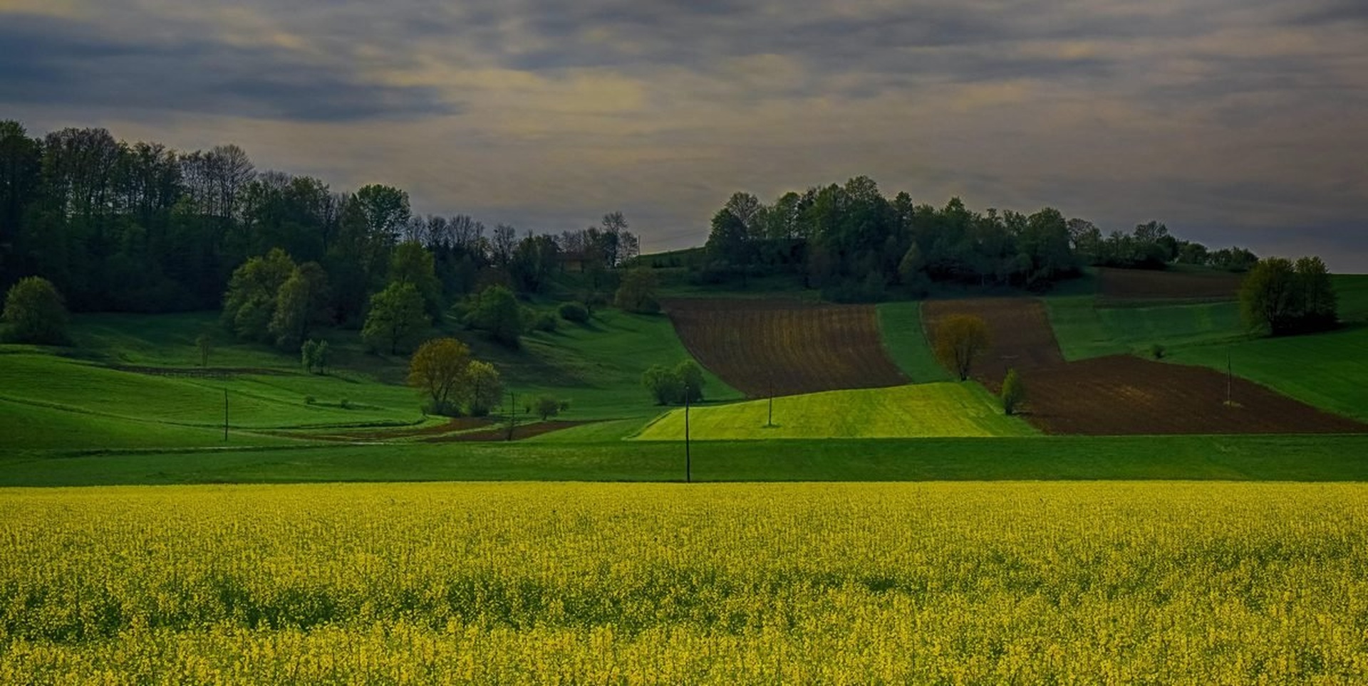 Pred setvijo..... by Jani Matko