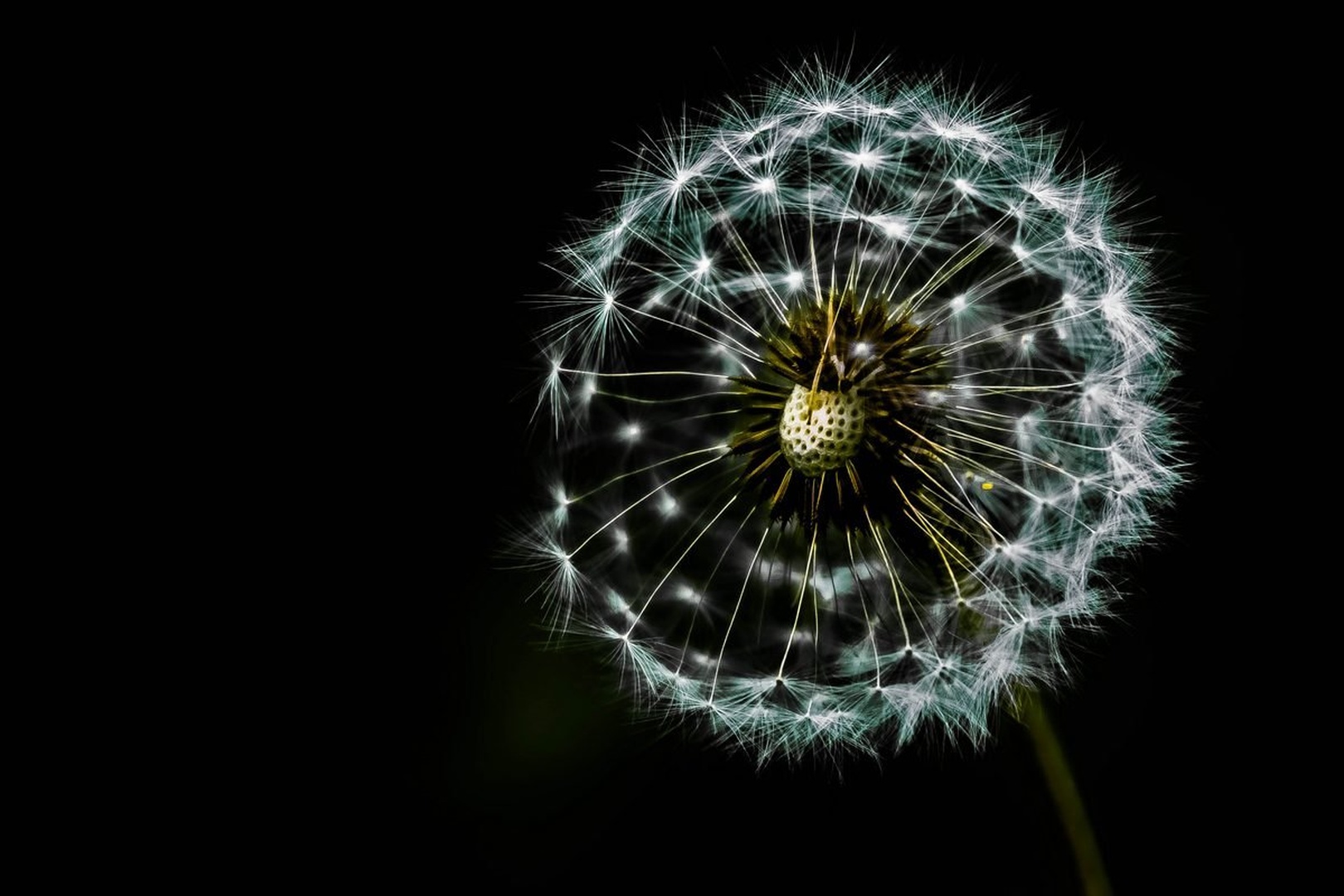 Regradova lučka...... by Jani Matko