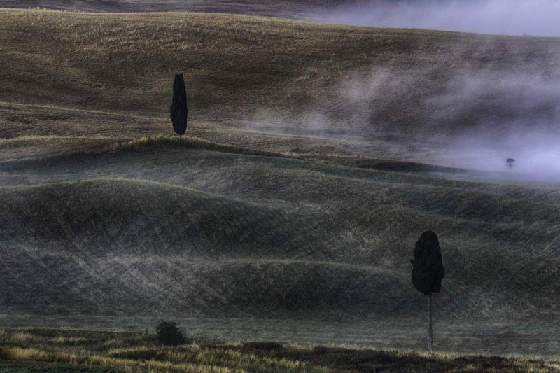 Cipresi... by Jani Matko