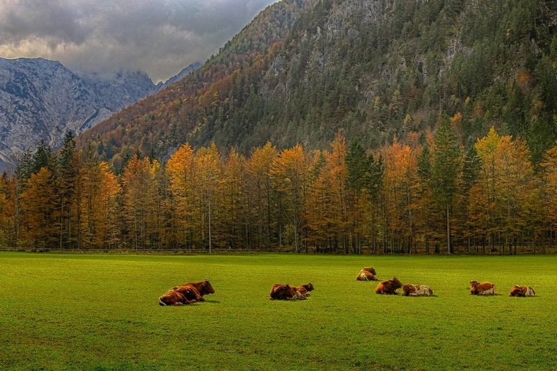 Poležavanje na sancu... by Jani Matko