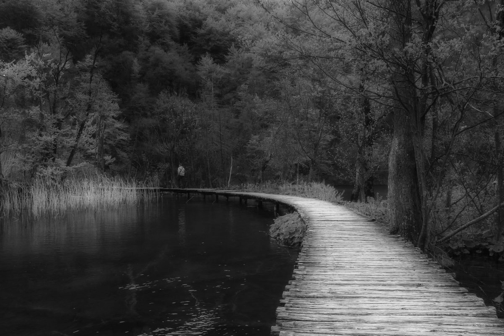Po poti.... by Jani Matko