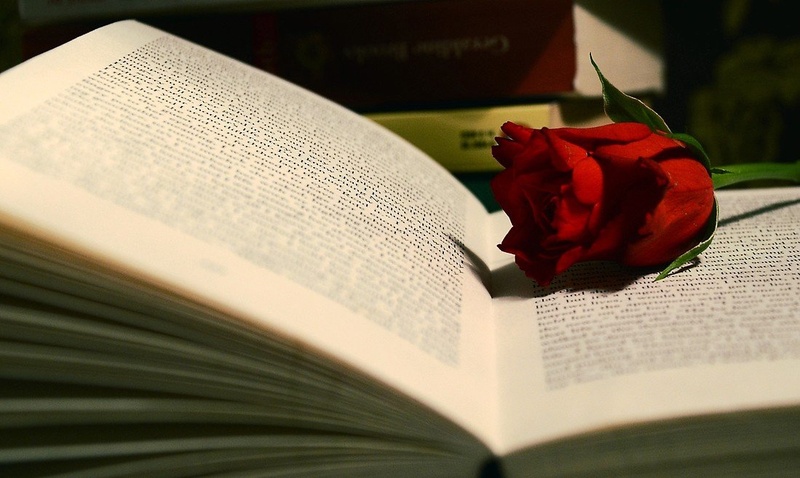 books&roses by crveno