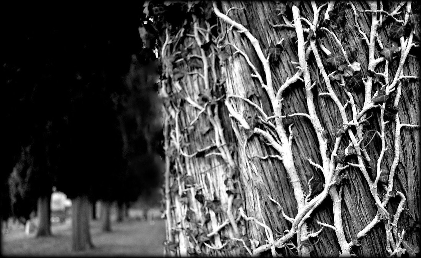 Moje telo je tvoje telo by sandra
