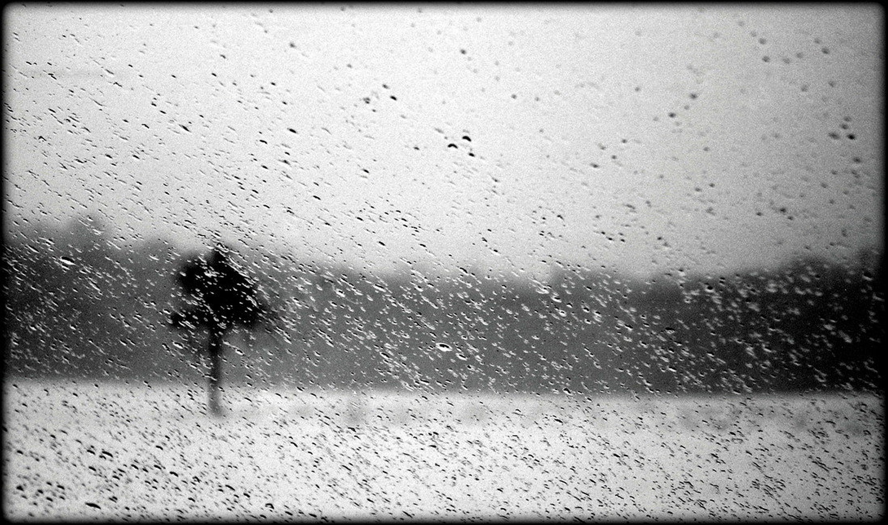 Standing alone in the rain by sandra