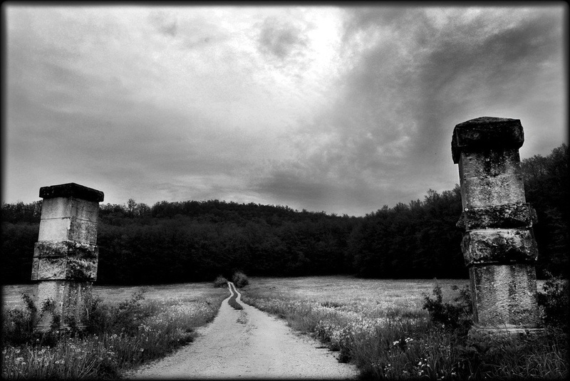 The gate by sandra