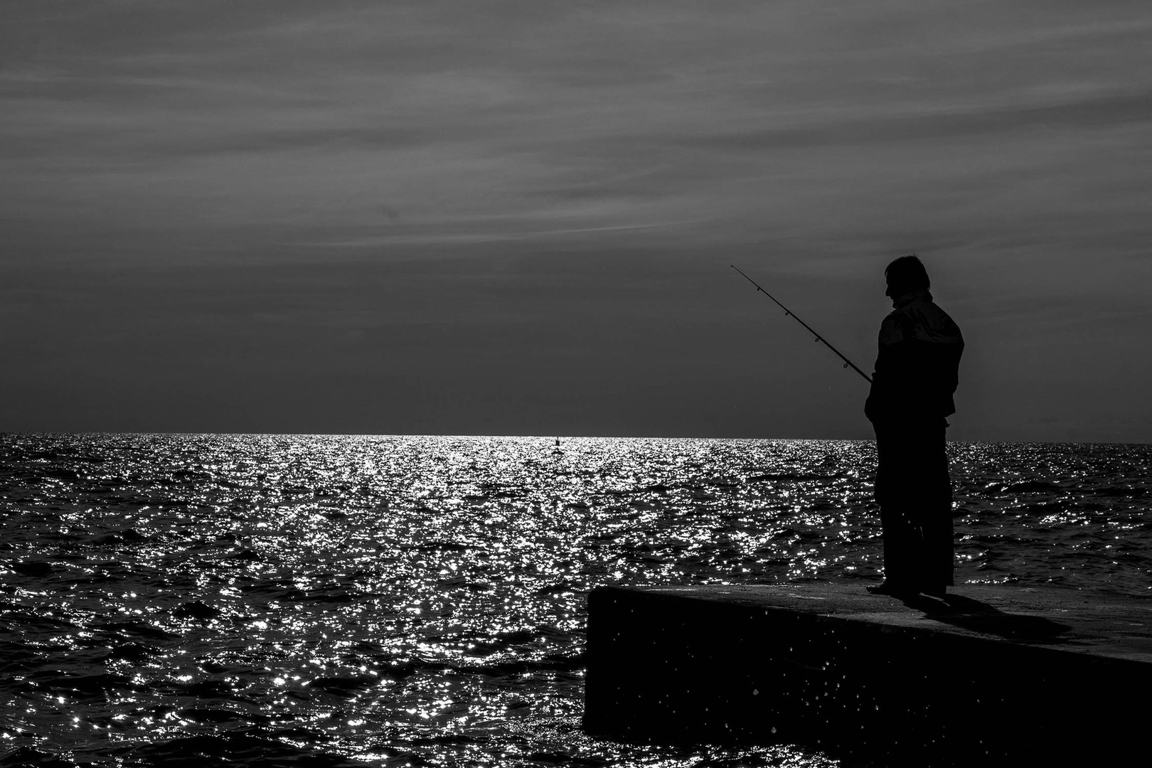 fishy fish by c bor