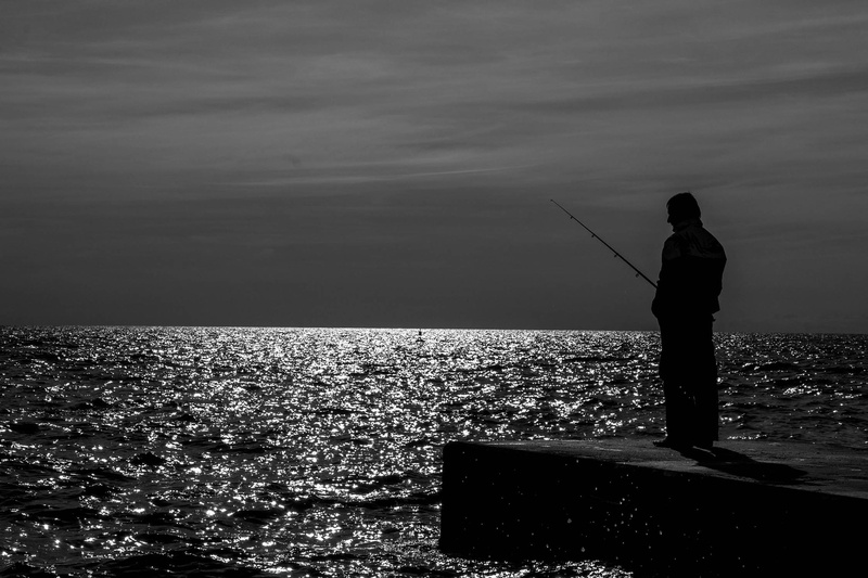 fishy fish by c bor