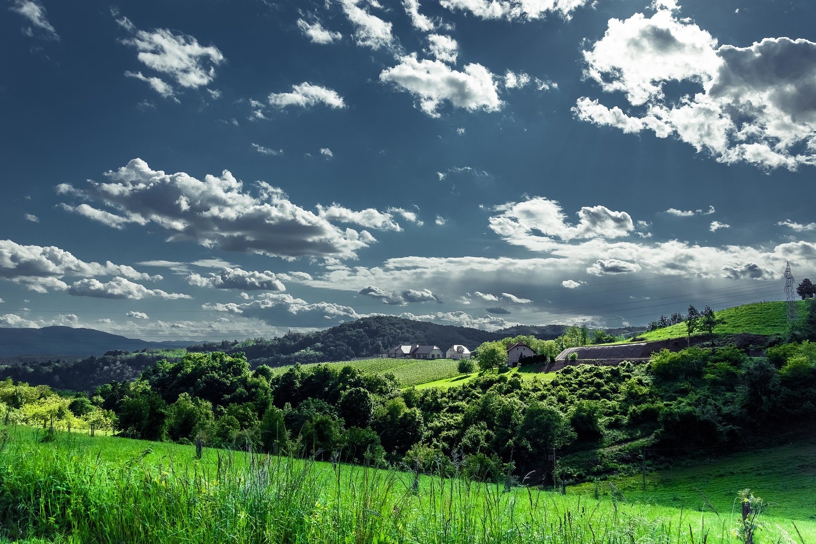 zeleno in nebo by c bor