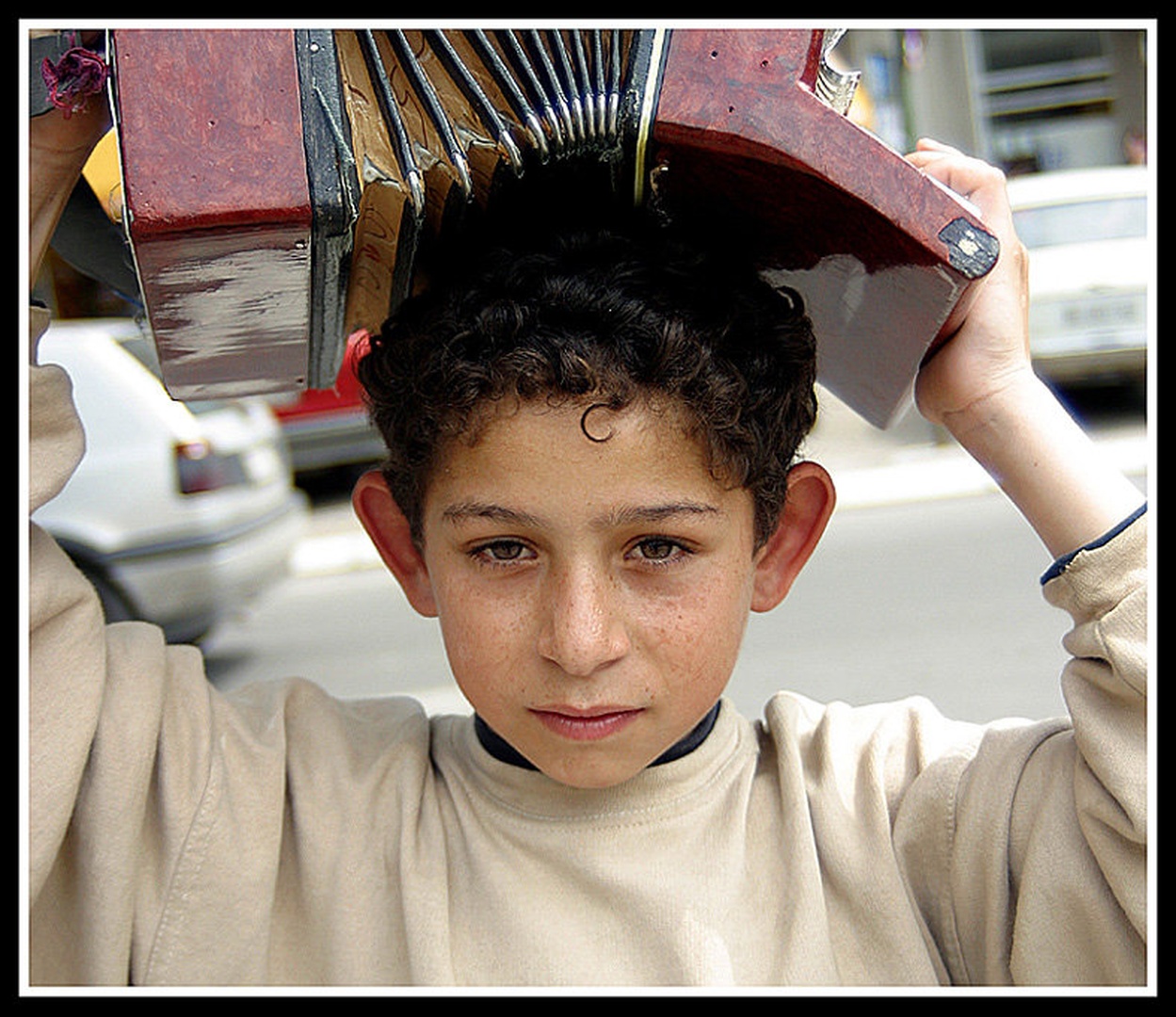 Harmonikar by