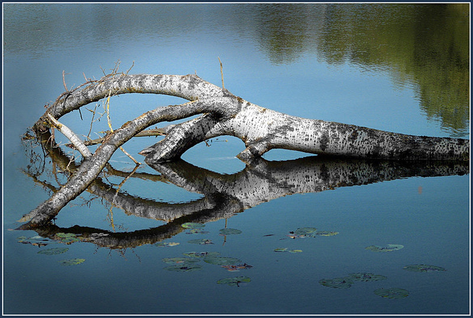 Utopljenec by