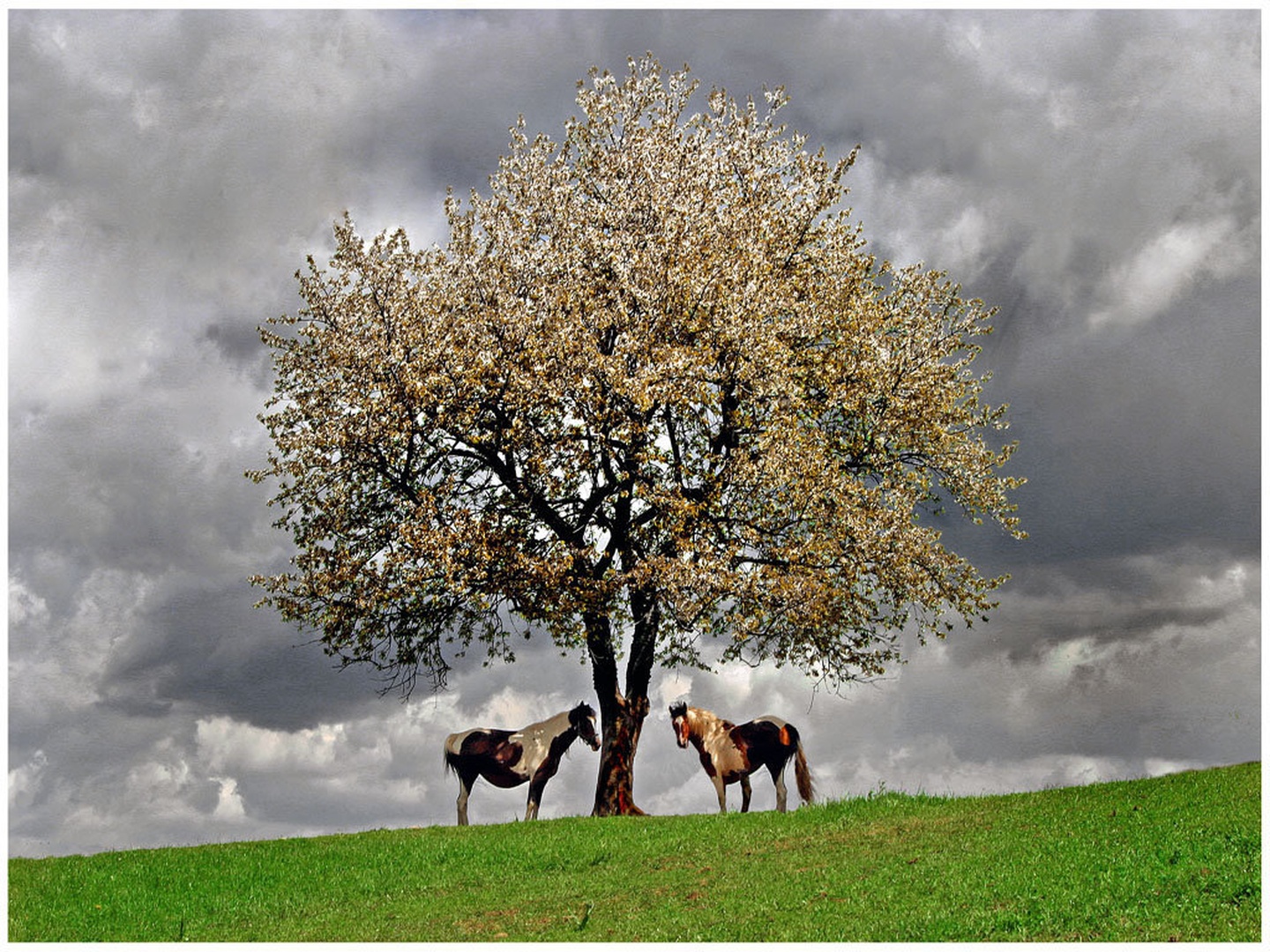 Aprilsko vreme by