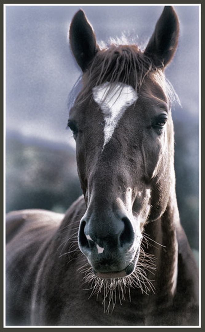 Gizdalin by