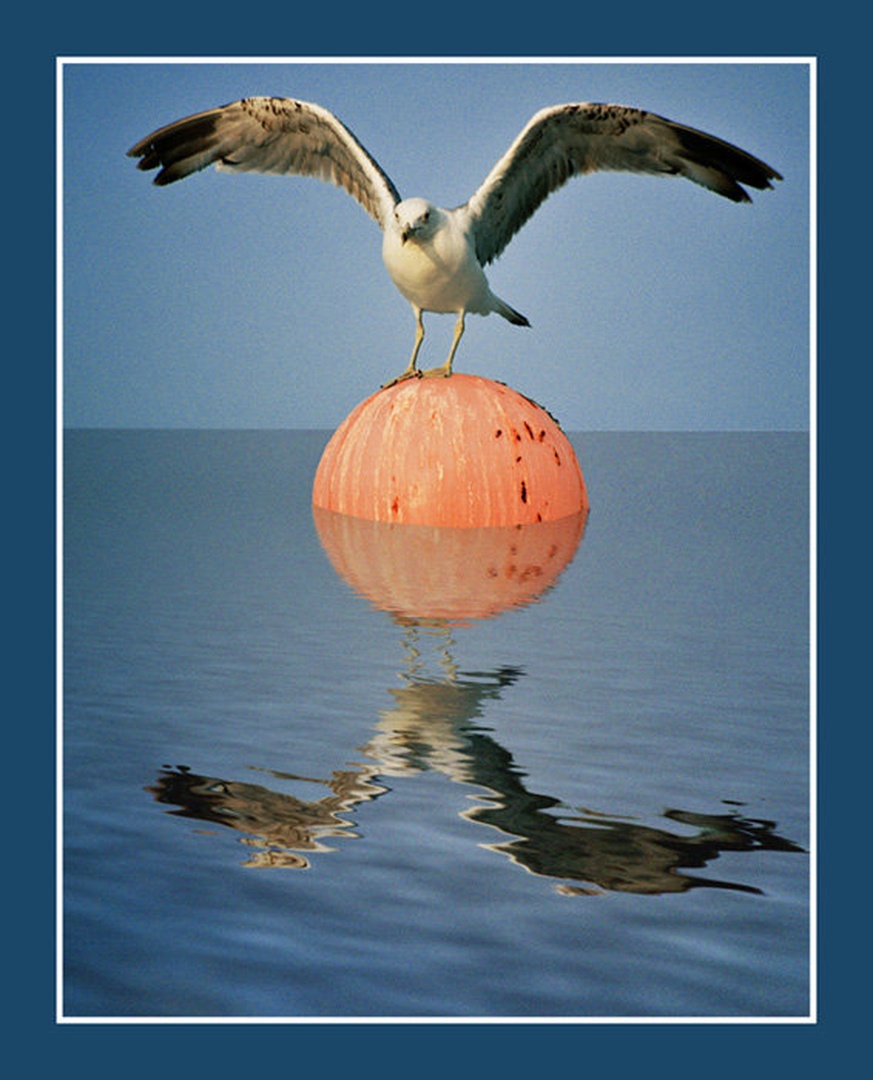 Sunset by
