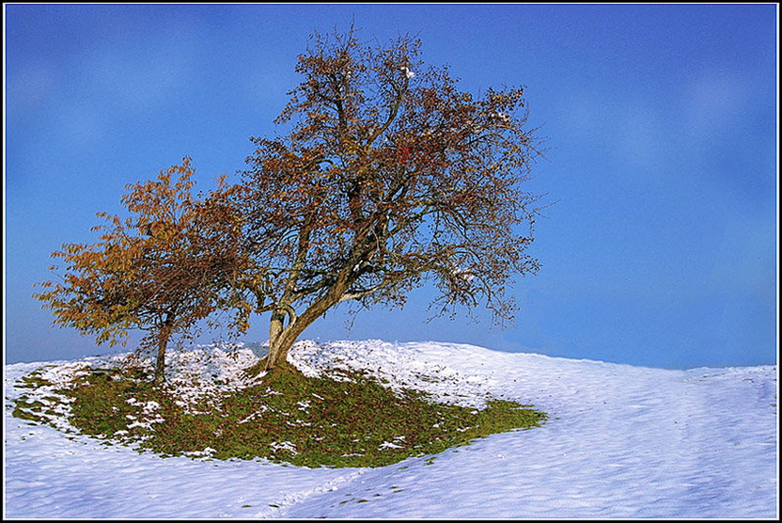 Dve generaciji by