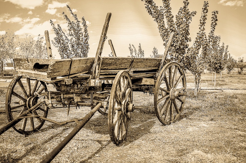 hay wagon by Sebastijan Pišek