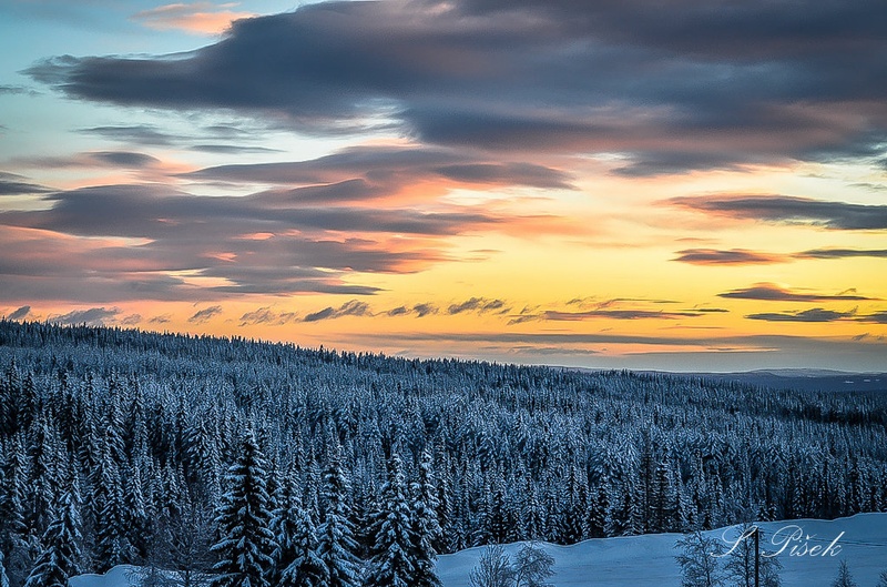~ Winter Beauty ~ by Sebastijan Pišek