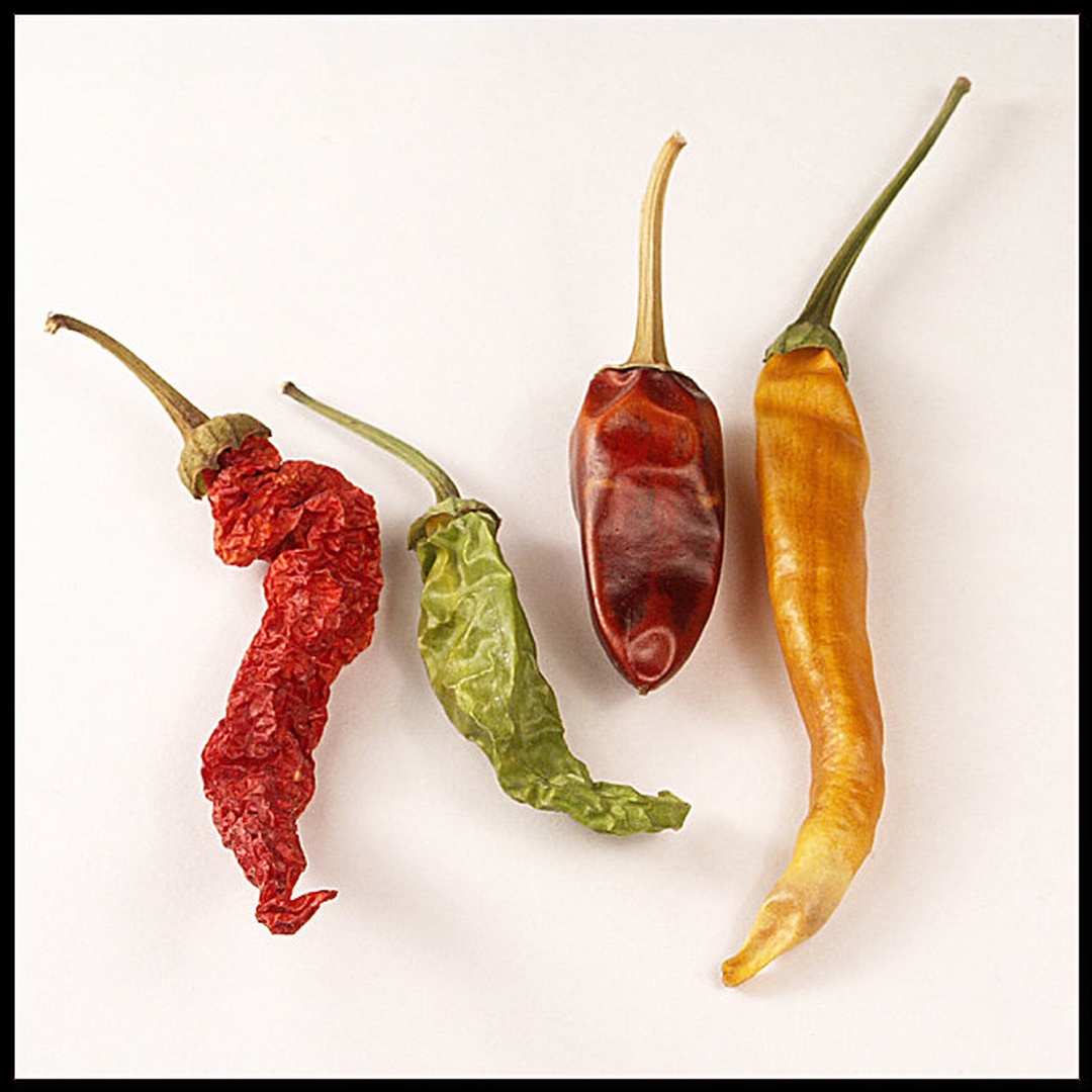Spice Girlz by