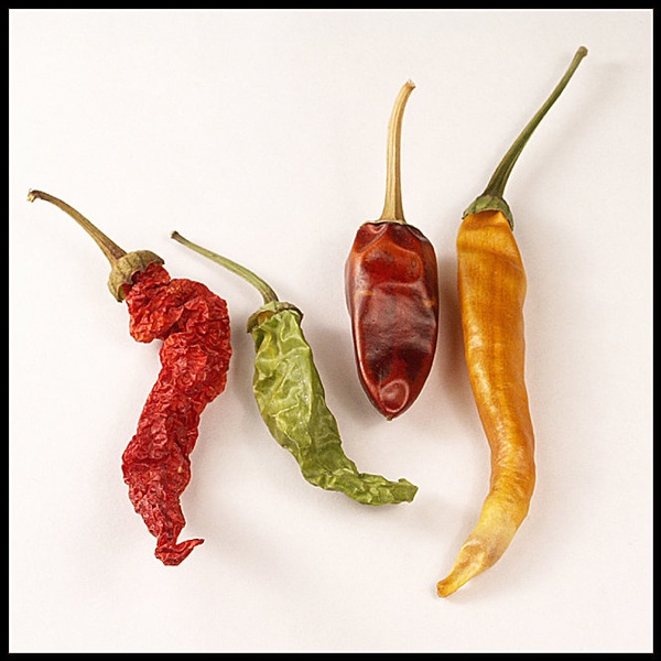 Spice Girlz by mishko