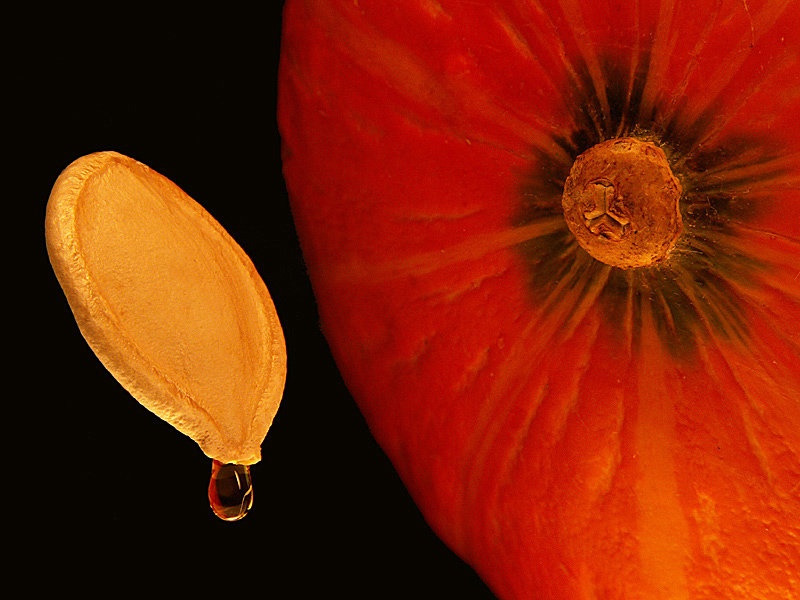 Terminator Pumpkin Oil by mishko