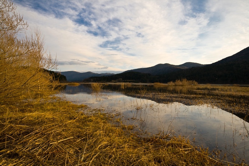 Wet feet I by mishko