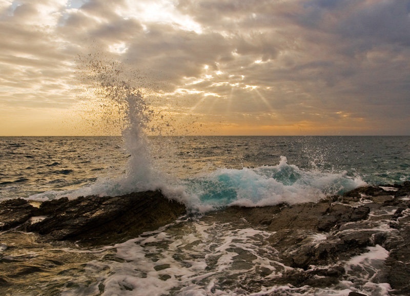 Dancing elements by mishko
