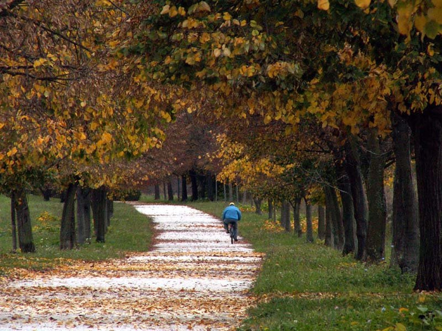 Bližnjica by